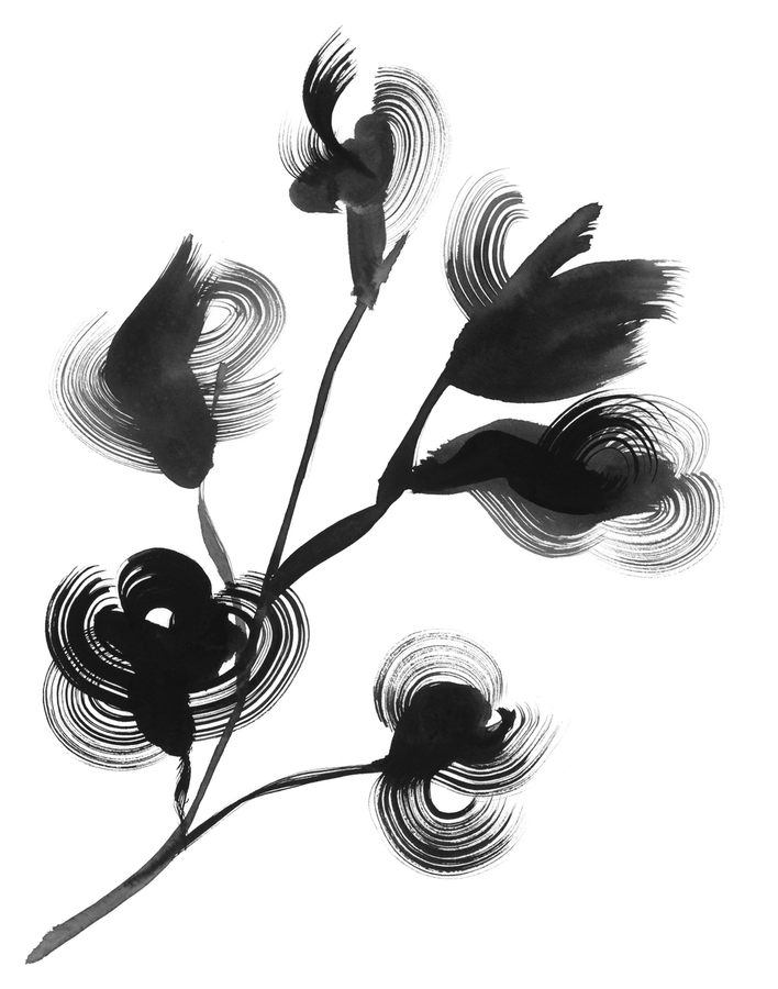 Botanical — ink spot illustration